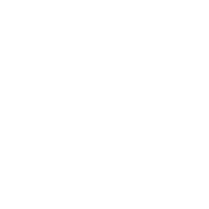 White icon of a brain with energy symbol – representing artificial intelligence and smart energy solutions