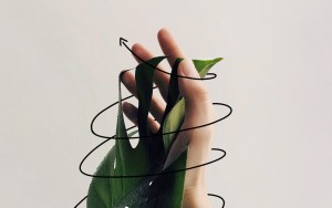 Ein großes Pflanzenblatt und eine Hand greifen ineinander