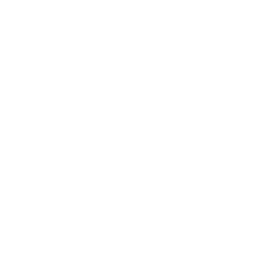 Icon transforming mindsets